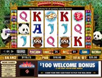 Double Panda Slots