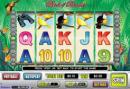 Birds of Paradise Slots Birds of Paradise Slots