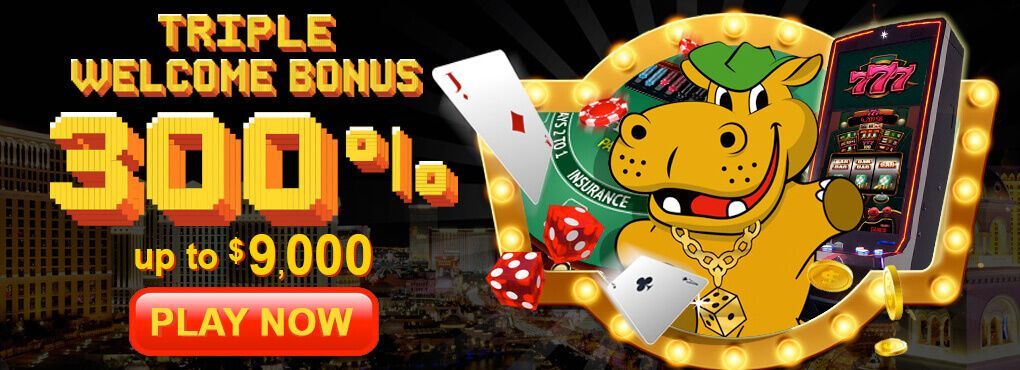 Characteristics of the the Best Bitcoin Casino