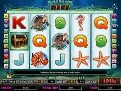Dolphin Reef Slots