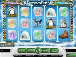 Icy Wonders Slots